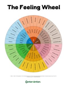 Feelings Wheel - Centervention®